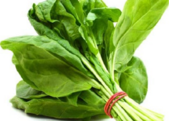 Sunday Special: Healthy & Tasty Ways With Iron-Packed Spinach
