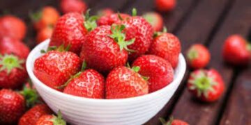 Red, Ripe & Radiant: Winter’s Strawberry Fiesta Brings Health, Taste and Creativity to the Table