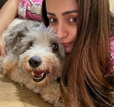 Trisha storm rocks TN politics: Nainar’s swipe at Vijay triggers cine–political firestorm ahead of 2026 polls