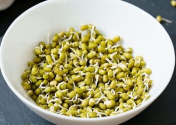 Sprouts: The Tiny titans that can transform your plate