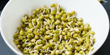 Sprouts: The Tiny titans that can transform your plate