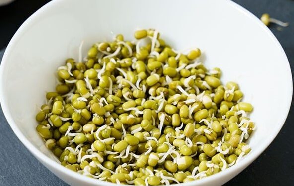Sprouts: The Tiny titans that can transform your plate