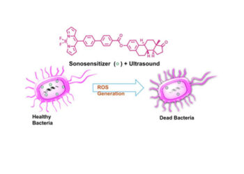 Sound waves vs superbugs: IITGN breakthrough destroys 99.9% antibiotic-resistant bacteria sans drugs