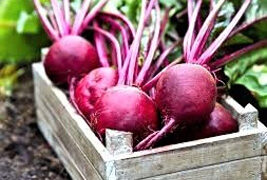 Ruby power on your plate: Why Beetroot deserves a daily spot in your diet