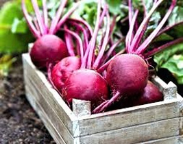 Ruby power on your plate: Why Beetroot deserves a daily spot in your diet