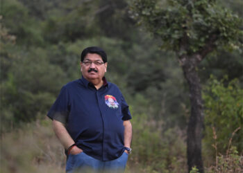 Steel tracks, safe paws: Gir gets 5 new lion underpasses as AI keeps vigil on the king of the jungle