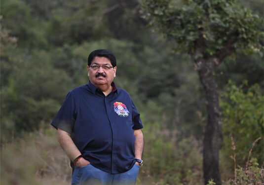 Steel tracks, safe paws: Gir gets 5 new lion underpasses as AI keeps vigil on the king of the jungle