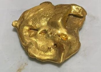 Gold trail cut short: Chennai Customs nabs 750 grams smuggled from Singapore