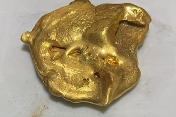 Gold trail cut short: Chennai Customs nabs 750 grams smuggled from Singapore