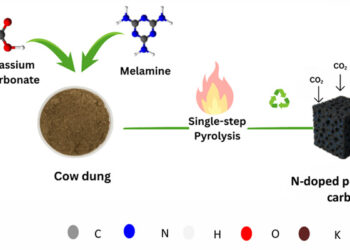 From waste to weapon against warming: IIT Gandhinagar turns cow dung into a carbon capture breakthrough