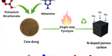 From waste to weapon against warming: IIT Gandhinagar turns cow dung into a carbon capture breakthrough