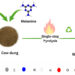From waste to weapon against warming: IIT Gandhinagar turns cow dung into a carbon capture breakthrough