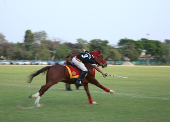Polo, policy & power play: Defence Minister calls for PPP push to power India’s sporting rise