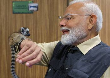 ‘When nature thrives, humanity thrives’: PM’s vision echoes as Vantara marks 1 transformative year