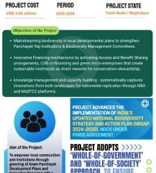 Green at the grassroots: ₹40-crore push to power community-led biodiversity in Tamil Nadu & Meghalaya