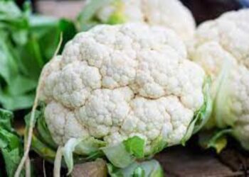 Cauliflower Carnival: From comfort classics to global cravings, one veggie steals the show