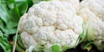 Cauliflower Carnival: From comfort classics to global cravings, one veggie steals the show