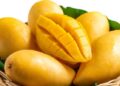 Mango Mania 2K26: The king returns in all his juicy glory!