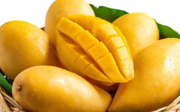Mango Mania 2K26: The king returns in all his juicy glory!