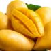 Mango Mania 2K26: The king returns in all his juicy glory!