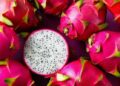 Sunday Special: Dragon fruit delights that dazzle the palate