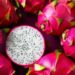 Sunday Special: Dragon fruit delights that dazzle the palate