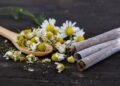 Natural Doesn’t Mean Safe: IIT Gandhinagar Study Exposes Hidden Dangers of Herbal Cigarettes