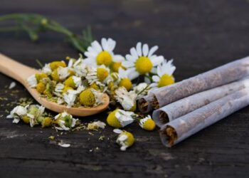 Natural Doesn’t Mean Safe: IIT Gandhinagar Study Exposes Hidden Dangers of Herbal Cigarettes