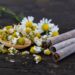 Natural Doesn’t Mean Safe: IIT Gandhinagar Study Exposes Hidden Dangers of Herbal Cigarettes