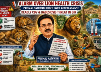 Alarm Over Lion Health Crisis: Parimal Nathwani Urges Swift Action Against Deadly CDV and Babesiosis Threat in Gir