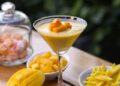 Mango Mania Sweeps Vadodara: Sayaji Hotel Turns Summer Into a Tropical Culinary Celebration with ‘The Mango Affair’
