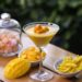 Mango Mania Sweeps Vadodara: Sayaji Hotel Turns Summer Into a Tropical Culinary Celebration with ‘The Mango Affair’