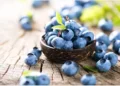 Father’s Day Special Treat: The Very Blue Berry Fare