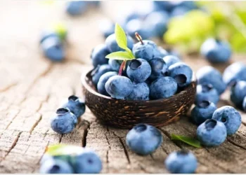 Sunday Special: The Very Blue Berry Fare