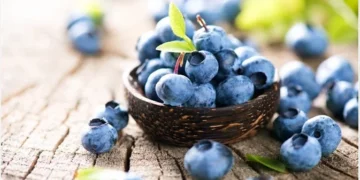 Father’s Day Special Treat: The Very Blue Berry Fare