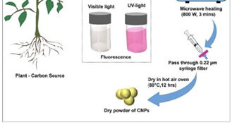 From Tulsi to Tomorrow: IIT Gandhinagar Turns Everyday Medicinal Plants into Nano Warriors Against Toxic Pollution