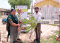 From saplings to sustainability: A village plants the seeds of tomorrow in Gujarat
