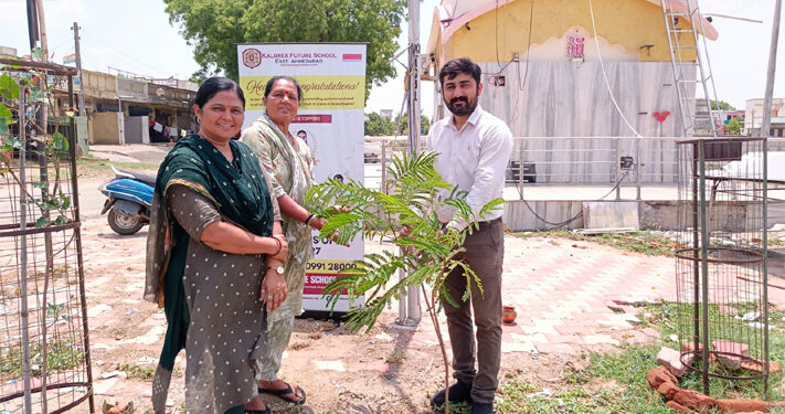 From saplings to sustainability: A village plants the seeds of tomorrow in Gujarat