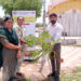 From saplings to sustainability: A village plants the seeds of tomorrow in Gujarat