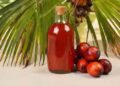 From misconception to evidence: How scientific studies can shape edible oil choices