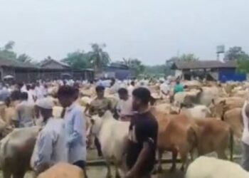 Supreme Court to test limits of judicial power as Tamil Nadu challenges blanket cow slaughter ban
