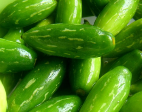 From humble Tendli to gourmet glory: The superfood veggie foodies are falling for