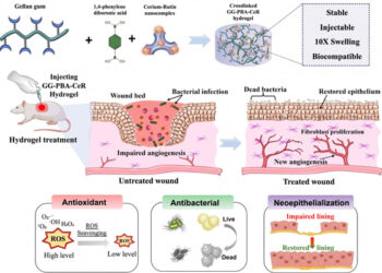 Beyond bandages: IITGN–Nirma scientists create smart injectable hydrogel that could revolutionise wound healing
