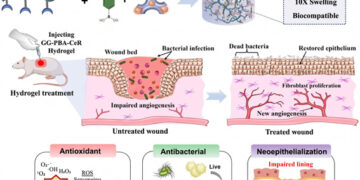 Beyond bandages: IITGN scientists create smart injectable hydrogel that could revolutionise wound healing
