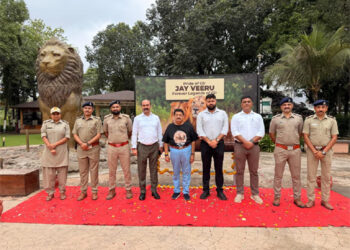 Gir’s immortal kings roar again: Jay-Veeru’s legacy etched forever in the heart of Asia’s last lion habitat