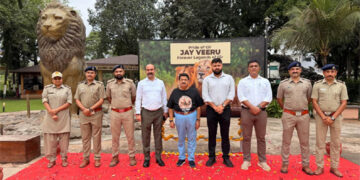 Gir’s immortal kings roar again: Jay-Veeru’s legacy etched forever in the heart of Asia’s last lion habitat