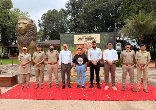 Gir’s immortal kings roar again: Jay-Veeru’s legacy etched forever in the heart of Asia’s last lion habitat