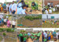 Gandhinagar creates a Guinness Green Miracle: 3.61 lakh saplings in one hour power India’s largest Miyawaki Plantation Drive