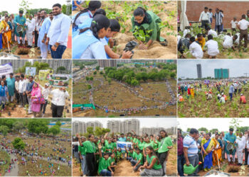 Gandhinagar creates a Guinness Green Miracle: 3.61 lakh saplings in one hour power India’s largest Miyawaki Plantation Drive
