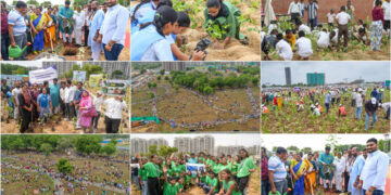Gandhinagar creates a Guinness Green Miracle: 3.61 lakh saplings in one hour power India’s largest Miyawaki Plantation Drive